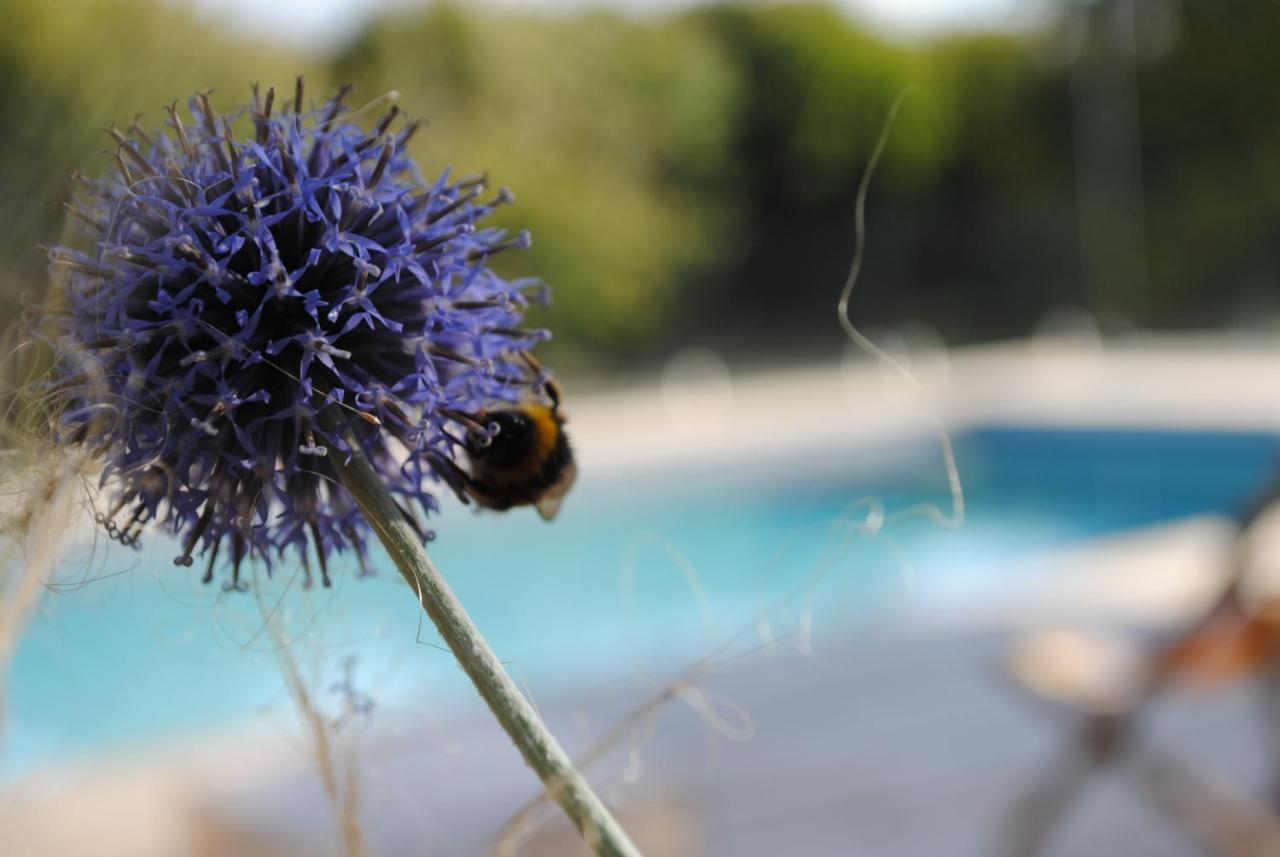 Eco-Gite - Domaine De La Gavolerie Bessé-sur-Braye エクステリア 写真