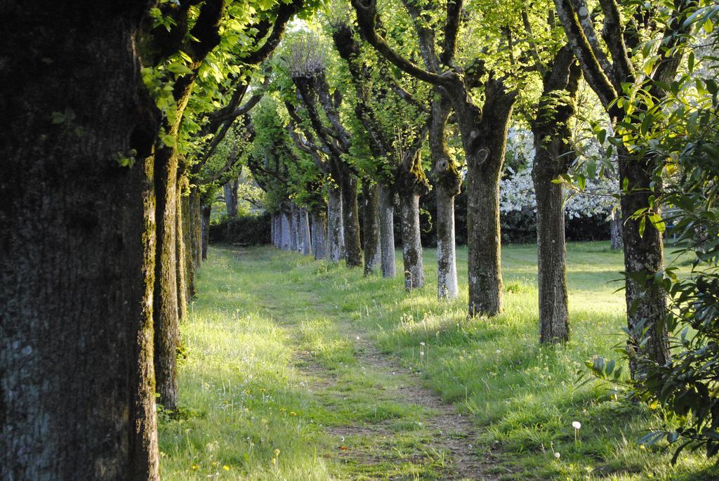Eco-Gite - Domaine De La Gavolerie Bessé-sur-Braye エクステリア 写真